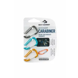 Accessory Carabiner Set (Like New)